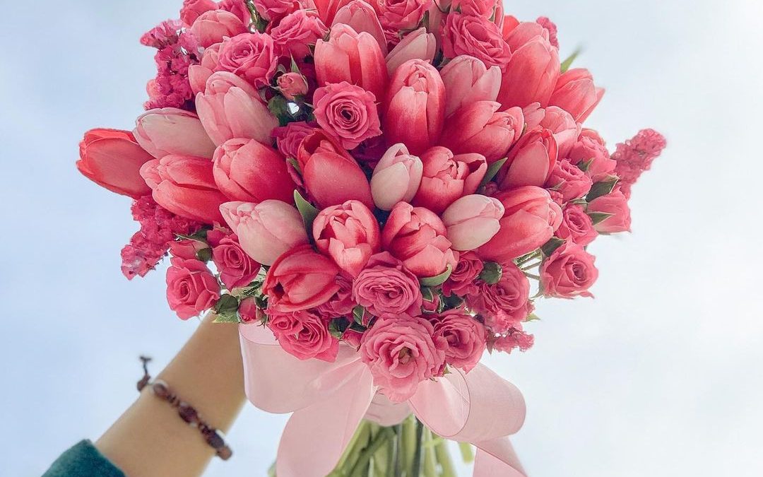 Shocking Pink Tulips